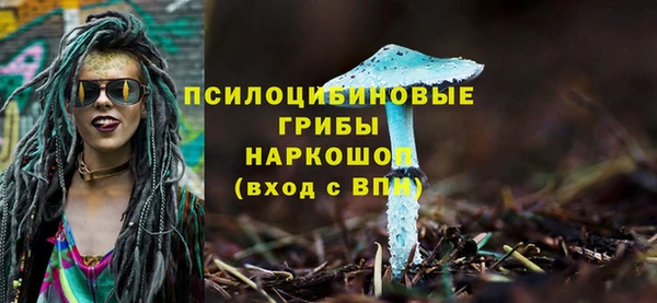 mdpv Армянск