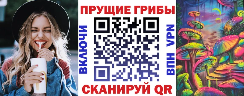 купить наркотики сайты  Пучеж  Псилоцибиновые грибы Magic Shrooms 